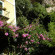 L'Argine Fiorito Hotel 