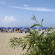 Village Marina hotel Paestum Пляж