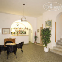 Bellevue Suite