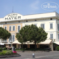Mayer & Splendid 