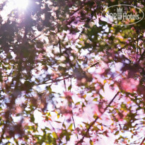 Villa Arcadio Hotel & Resort