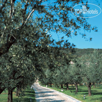 Villa Arcadio Hotel & Resort