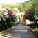 Photos Villaggio Hotel Club Calanovellamare