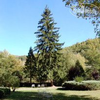 Hotel Delle Acque & Natural Spa