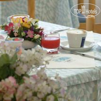 New Bristol & Domus Mea