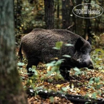 Fattoria Montelucci Hotel