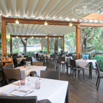 Complesse Turistico Riva Degli Etruschi