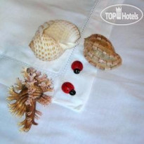 La Coccinella Hotel San Vincenzo