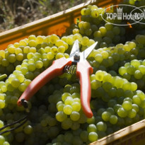 Podere San Michele 