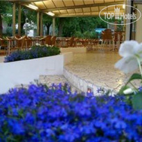 Massimo Hotel Marina di Cecina