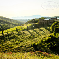 Colle Bertini 