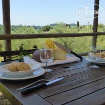 Fattoria Di Colleoli 