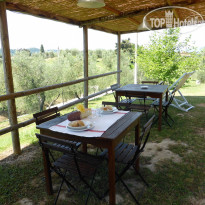 Fattoria Di Colleoli 