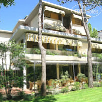 Andreaneri