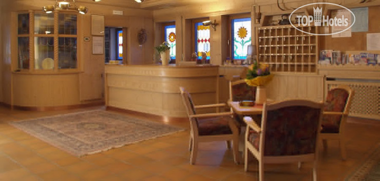 New photos from tourists Villa Jolanda 3*