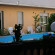 Paradiso Verde 
