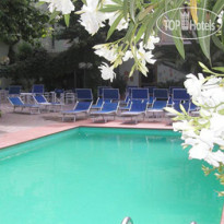 Best Western Hotel Cappelli