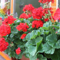 Partenza Funivia B&B