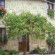 Photos Casa Degli Aranci