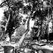 Grand Hotel Berti Silvi Marina