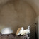 Sextantio Albergo Diffuso 