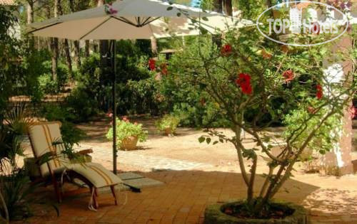 New photos from tourists Villa Lavanda