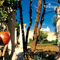 Masseria Torre Coccaro