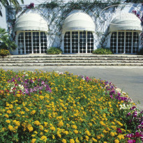 Ostuni Rosa Marina Resort 