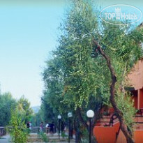Club degli Ulivi