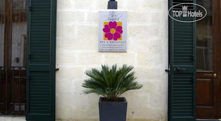 New photos from tourists Dolce Primula Bed & Breakfast