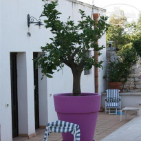 Masseria Carparelli