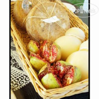 Terranobile Metaresort