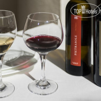 Terranobile Metaresort Our Wine