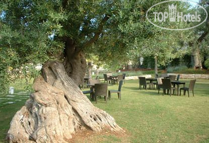 New photos from tourists Masseria Montalbano 4*