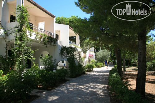 Hotelier's photos Baia degli Aranci Residence APT