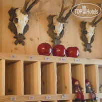 Monti Pallidi Bed and Breakfast Apartments