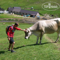 Rini Luxury Country House