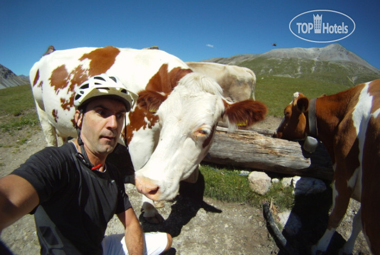 New photos from tourists Rini Luxury Country House