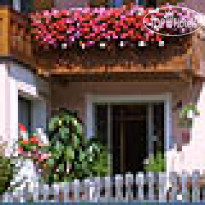 Ariston Garni