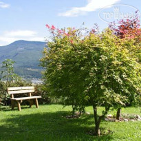 La Betulla B&B 