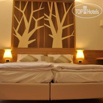 Corona Wellness & Family Pinzolo 