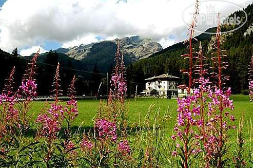 New photos from tourists Le Campagnol 2*