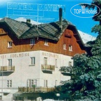 Savoy Edelweiss 