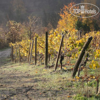 Tre Stelle Agriturismo