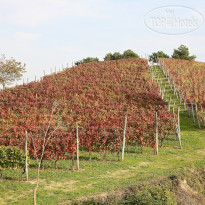 Tre Stelle Agriturismo