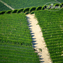 Tre Stelle Agriturismo