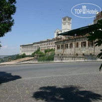 Windsor Savoia