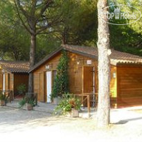 Hotel Green Assis