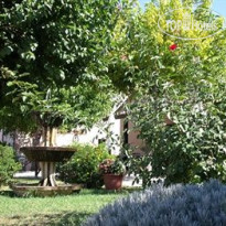 Hotel Green Assis