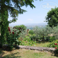 Il Poggio degli Olivi